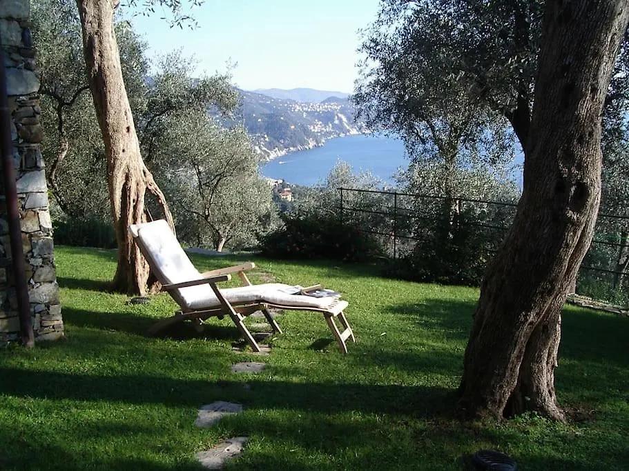 Charming Apartment Villa With Pool 010-46-Cav-0009 Rapallo 0*,